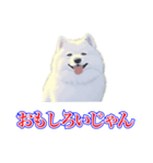 犬味 犬だもん（個別スタンプ：17）