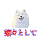 犬味 犬だもん（個別スタンプ：18）