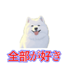犬味 犬だもん（個別スタンプ：19）