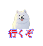 犬味 犬だもん（個別スタンプ：21）