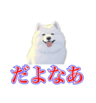 犬味 犬だもん（個別スタンプ：22）