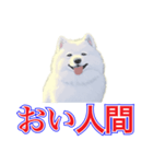 犬味 犬だもん（個別スタンプ：24）
