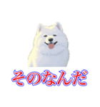 犬味 犬だもん（個別スタンプ：26）