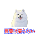 犬味 犬だもん（個別スタンプ：27）