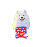 犬味 犬だもん（個別スタンプ：28）