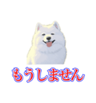 犬味 犬だもん（個別スタンプ：29）
