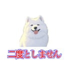 犬味 犬だもん（個別スタンプ：30）