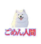 犬味 犬だもん（個別スタンプ：32）
