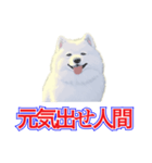 犬味 犬だもん（個別スタンプ：33）