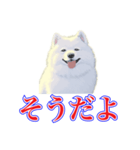 犬味 犬だもん（個別スタンプ：37）
