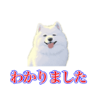 犬味 犬だもん（個別スタンプ：39）