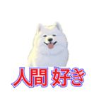 犬味 犬だもん（個別スタンプ：40）