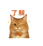 猫いろいろ日常会話14（個別スタンプ：1）