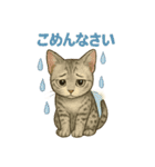 猫いろいろ日常会話14（個別スタンプ：5）