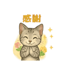 猫いろいろ日常会話14（個別スタンプ：6）
