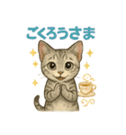 猫いろいろ日常会話14（個別スタンプ：8）