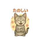猫いろいろ日常会話14（個別スタンプ：9）