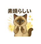 猫いろいろ日常会話14（個別スタンプ：11）