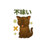 猫いろいろ日常会話14（個別スタンプ：13）
