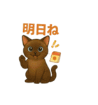 猫いろいろ日常会話14（個別スタンプ：14）