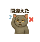 猫いろいろ日常会話14（個別スタンプ：15）