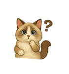 猫いろいろ日常会話14（個別スタンプ：20）