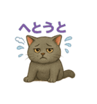 猫いろいろ日常会話14（個別スタンプ：24）