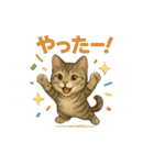 猫いろいろ日常会話14（個別スタンプ：25）