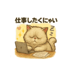 猫いろいろ日常会話14（個別スタンプ：29）