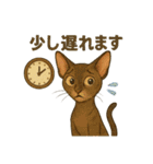 猫いろいろ日常会話14（個別スタンプ：36）