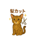 猫いろいろ日常会話14（個別スタンプ：38）