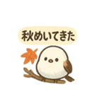 シマエナガの季節の便り（個別スタンプ：37）