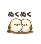 シマエナガの季節の便り（個別スタンプ：39）