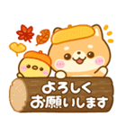 秋に役立つ♡豆柴日和（個別スタンプ：3）