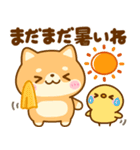 秋に役立つ♡豆柴日和（個別スタンプ：6）