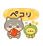 秋に役立つ♡豆柴日和（個別スタンプ：10）