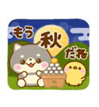 秋に役立つ♡豆柴日和（個別スタンプ：12）