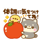 秋に役立つ♡豆柴日和（個別スタンプ：14）