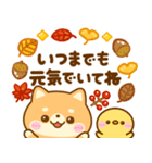 秋に役立つ♡豆柴日和（個別スタンプ：23）