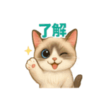 猫いろいろ日常会話12（個別スタンプ：1）