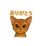 猫いろいろ日常会話12（個別スタンプ：4）