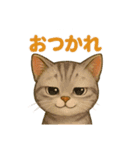 猫いろいろ日常会話12（個別スタンプ：5）