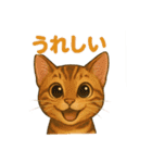 猫いろいろ日常会話12（個別スタンプ：6）