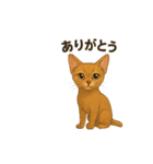 猫いろいろ日常会話12（個別スタンプ：7）