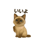 猫いろいろ日常会話12（個別スタンプ：8）