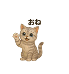 猫いろいろ日常会話12（個別スタンプ：9）