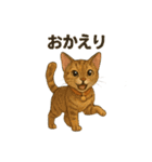猫いろいろ日常会話12（個別スタンプ：10）