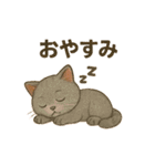 猫いろいろ日常会話12（個別スタンプ：13）