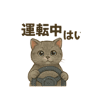 猫いろいろ日常会話12（個別スタンプ：15）