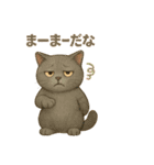 猫いろいろ日常会話12（個別スタンプ：17）